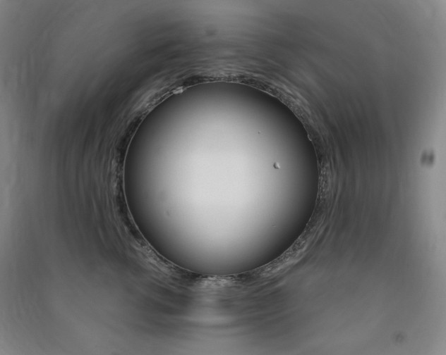 X0000091490762200708161210