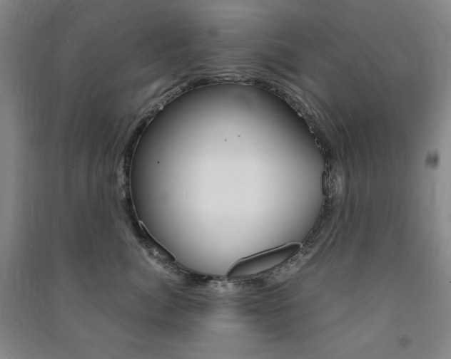 X0000091490764200708161210