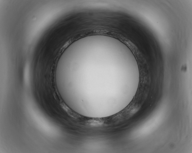 X0000091490765200708161210