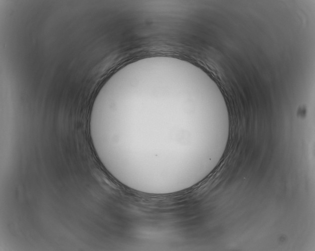 X0000091490766200708161210