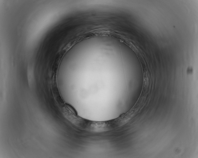 X0000091490767200708161210