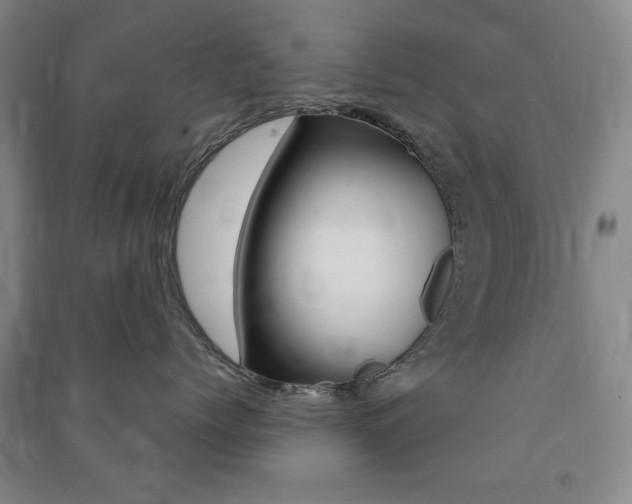 X0000091490768200708161210