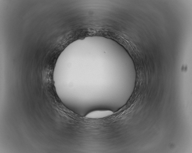 X0000091490770200708161209