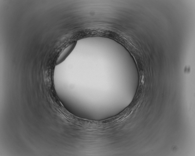 X0000091490771200708161209
