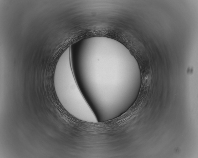 X0000091490772200708161209