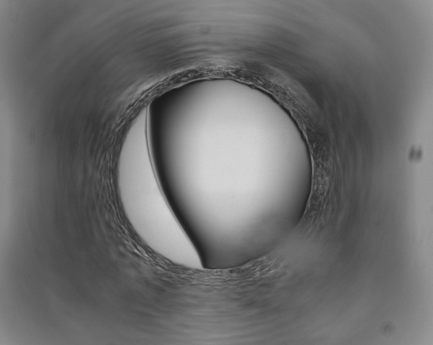 X0000091490773200708161209