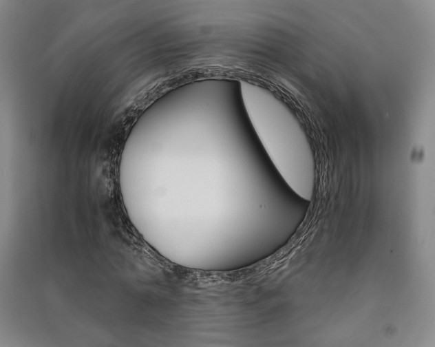 X0000091490774200708161209