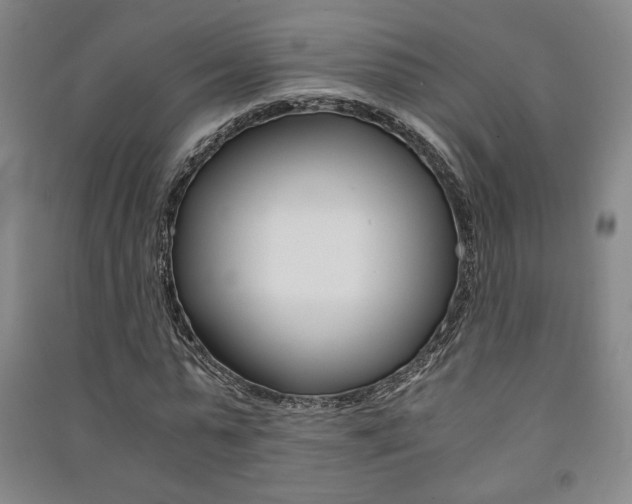 X0000091490775200708161209