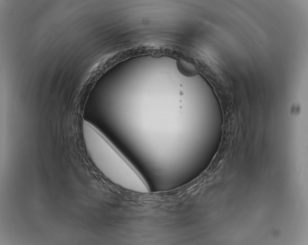 X0000091490776200708161209