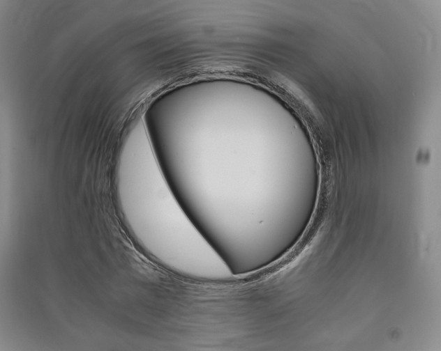 X0000091490777200708161209