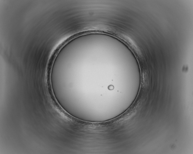X0000091490780200708161209