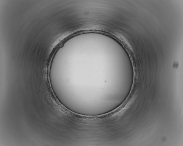 X0000091490781200708161209
