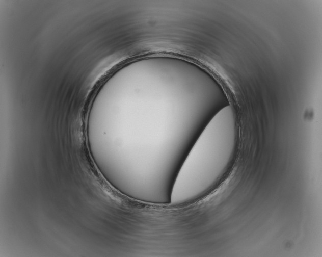 X0000091490782200708161209