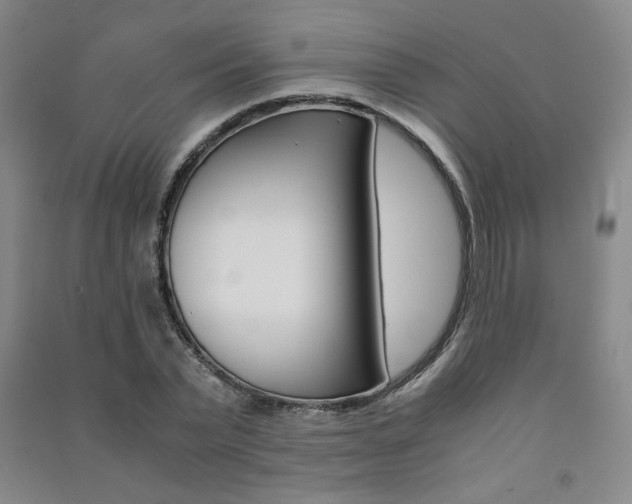 X0000091490783200708161209