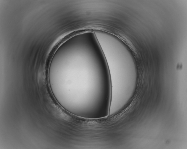 X0000091490784200708161209