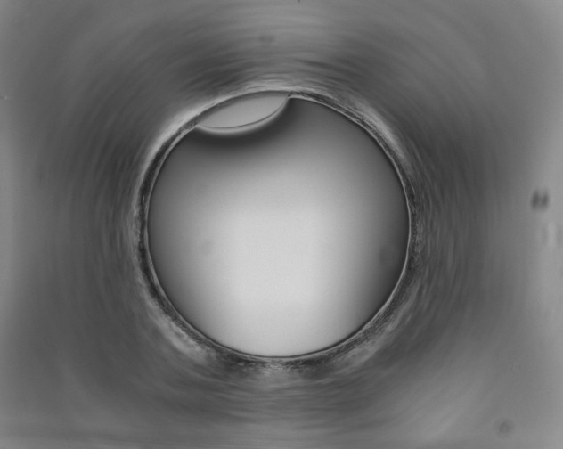 X0000091490787200708161209