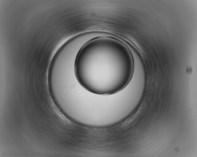 X0000091490788200708161209