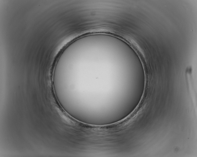 X0000091490789200708161209