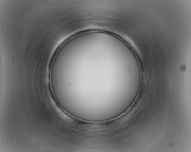 X0000091490791200708161209