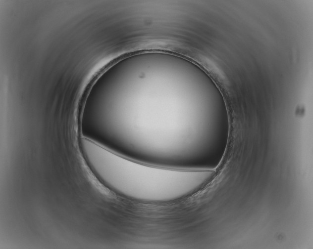 X0000091490792200708161209