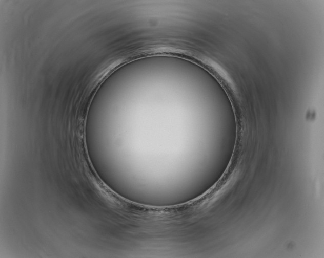 X0000091490793200708161209