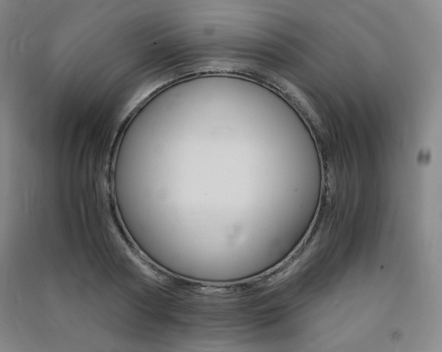 X0000091490794200708161209