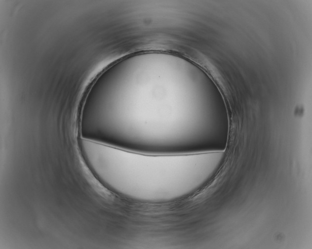 X0000091490795200708161209