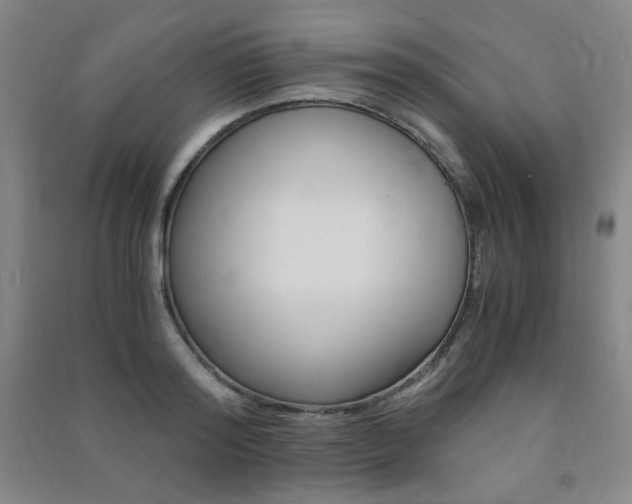 X0000091490796200708161209