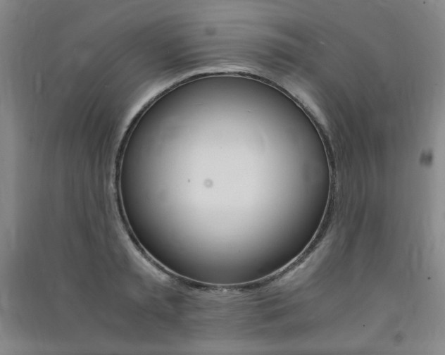 X0000091490797200708161209