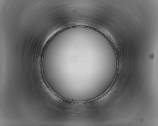 X0000091490798200708161209