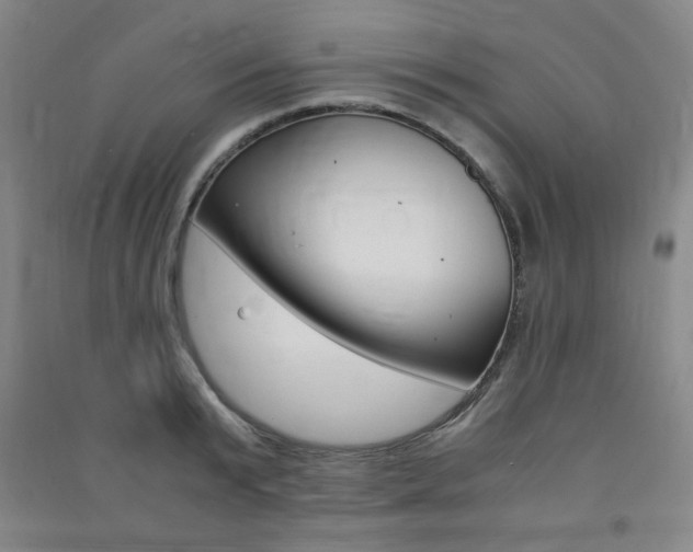 X0000091490799200708161209