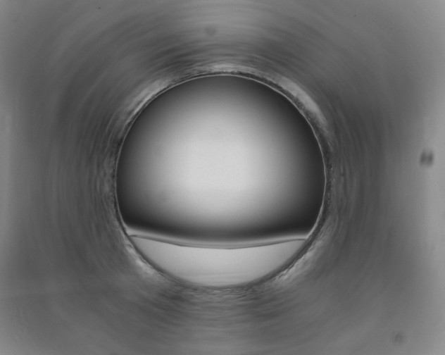 X0000091490801200708161209
