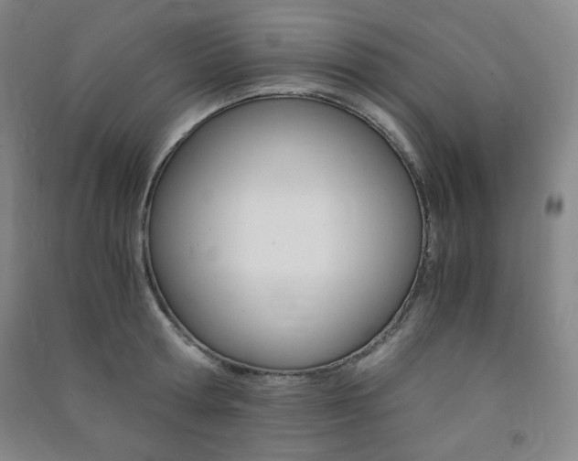 X0000091490802200708161209