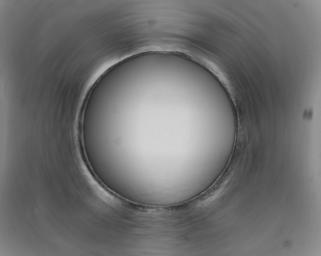 X0000091490803200708161209
