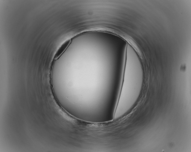 X0000091490805200708161209
