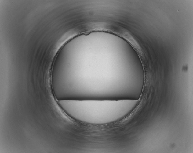 X0000091490806200708161209