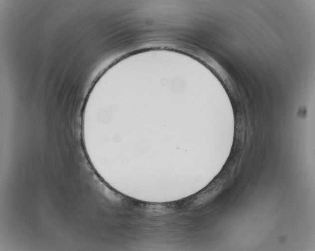 X0000091490807200708161209