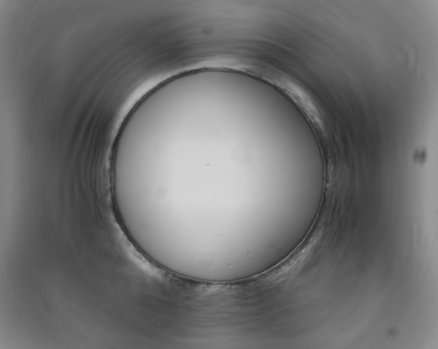 X0000091490808200708161209