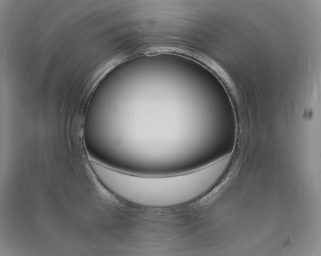 X0000091490809200708161209