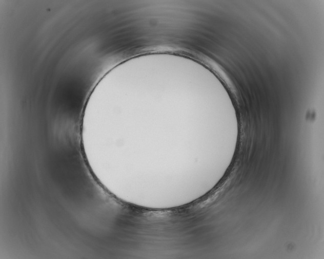 X0000091490810200708161209