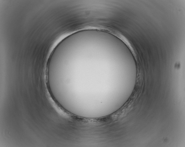 X0000091490811200708161209