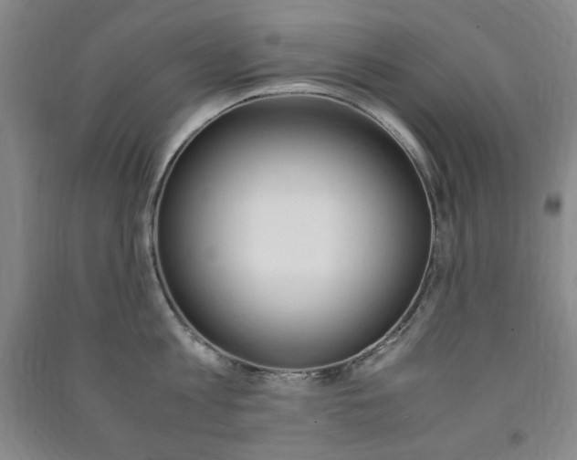 X0000091490813200708161209