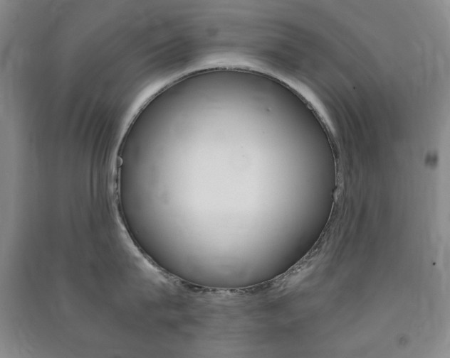 X0000091490815200708161209