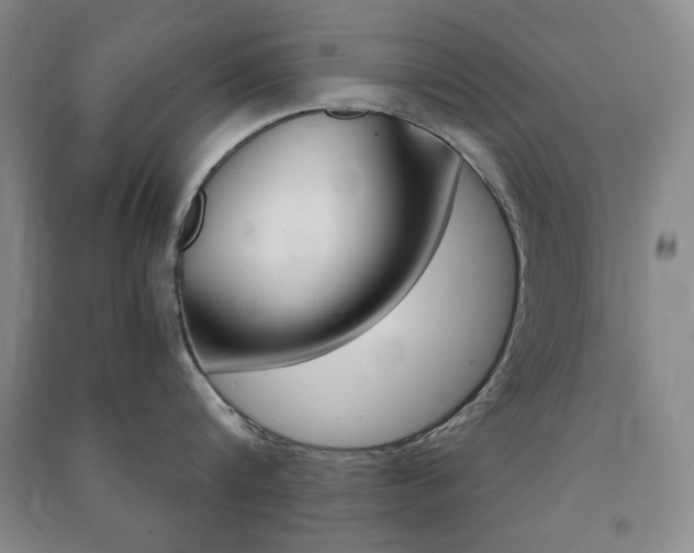 X0000091490816200708161209