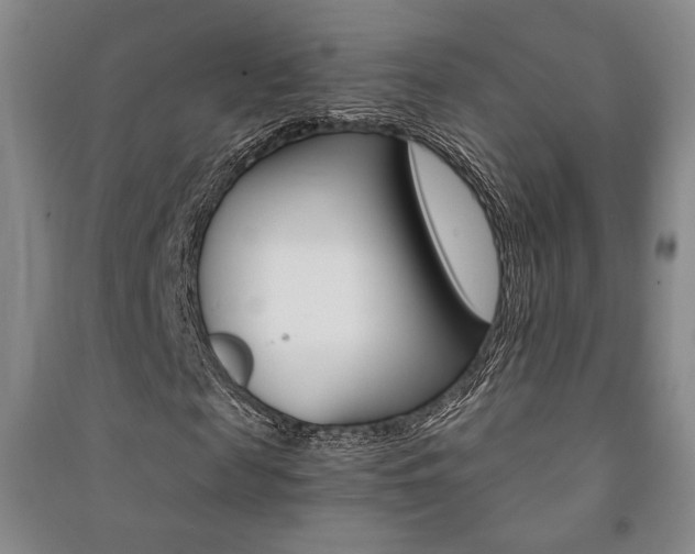 X0000091490817200708161208
