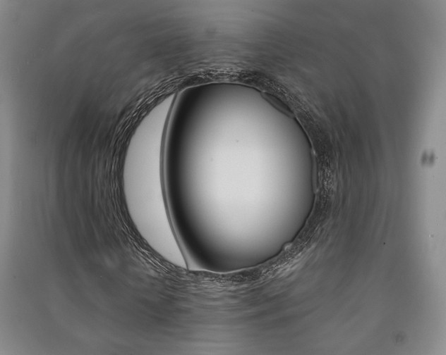 X0000091490818200708161208