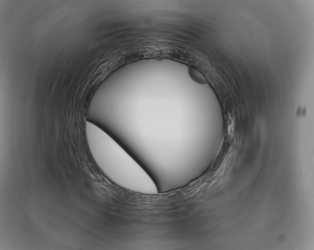 X0000091490819200708161208
