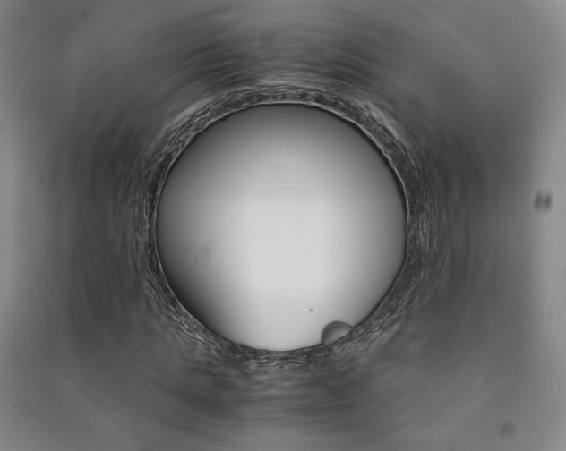X0000091490821200708161208