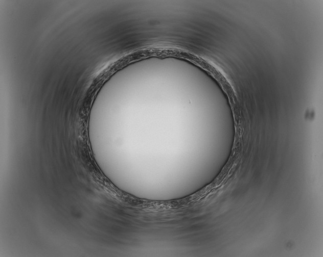 X0000091490823200708161208