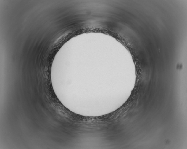X0000091490824200708161208